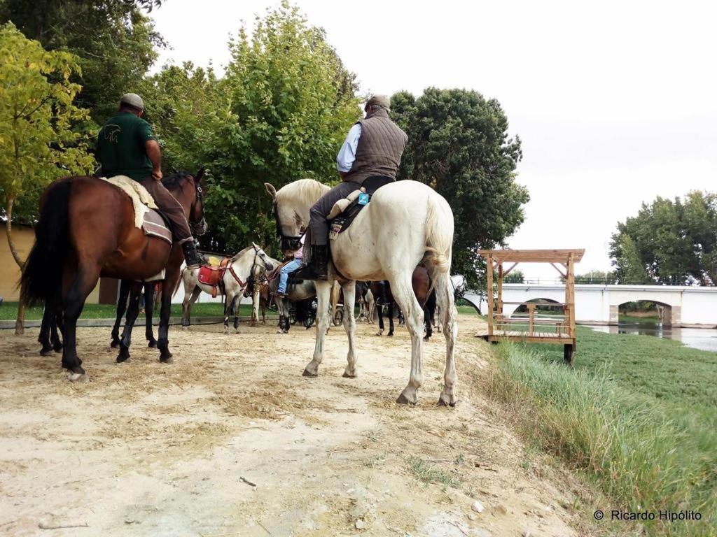 Quinta Da Pinheira Leziria * Alpiarça